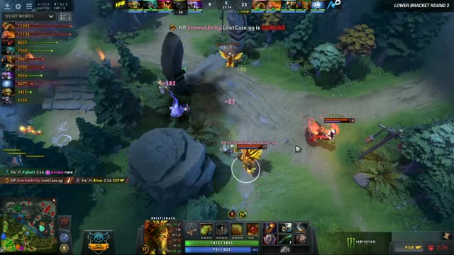 Fnatic.EternaLEnVy kills Biver!