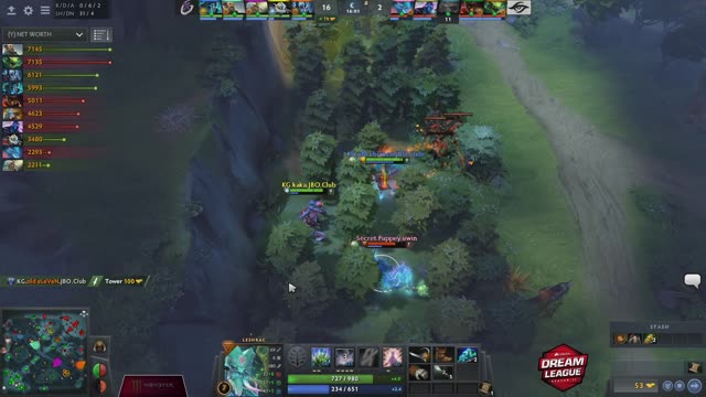 Newbee.kaka kills Secret.Puppey!