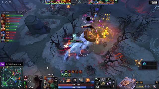 offlane (dog) kills CHAAANNN!