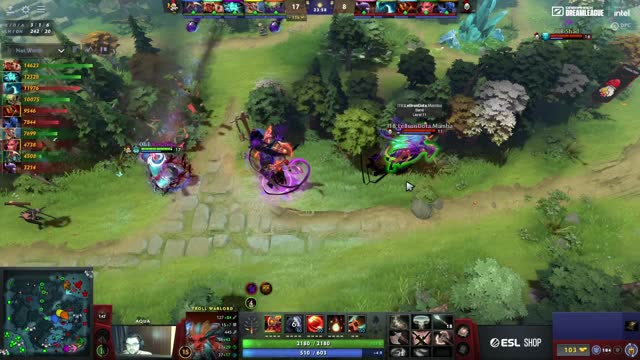 BoraNija kills LeBronDota!