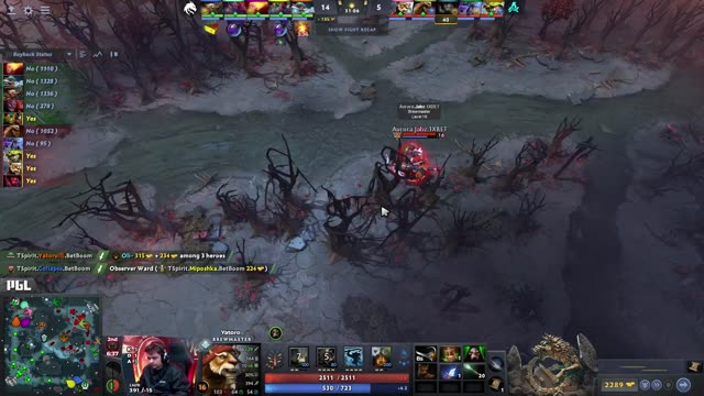 TSpirit gets 2 kills!