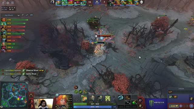 Stormstormer kills Liquid.iNSaNiA!