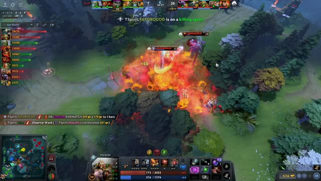 TSpirit gets 2 kills!