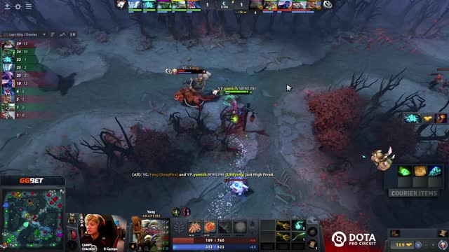 yamich kills VG.Yang!