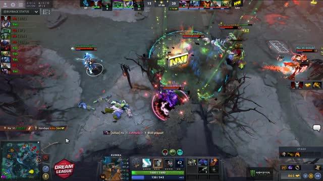 Na'Vi.RodjER kills Newbee.kaka!