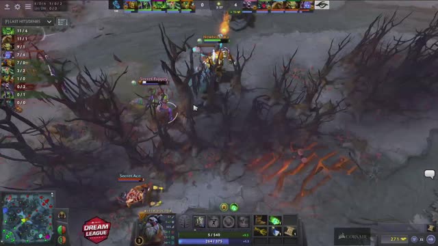 Newbee.kaka kills Secret.Puppey!