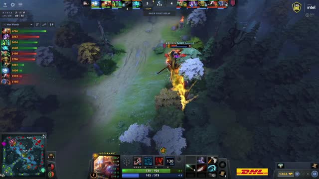 dnm kills MMR tourist!