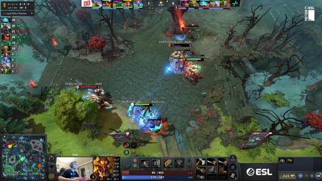 VP.Kiritych~ kills PARIVISION.DM!