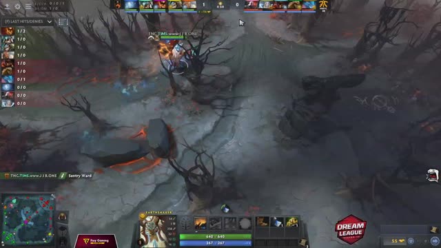 TNC.Gabbi kills Fnatic.Dj!