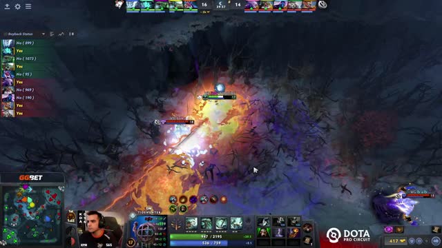 VG.poyoyo kills VP.DM!