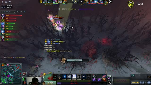 QCY.Quinn kills high_shaggy!