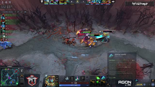 33 kills Secret.Puppey!