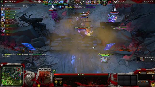 WG.KanGaroo kills Wings.iceice!