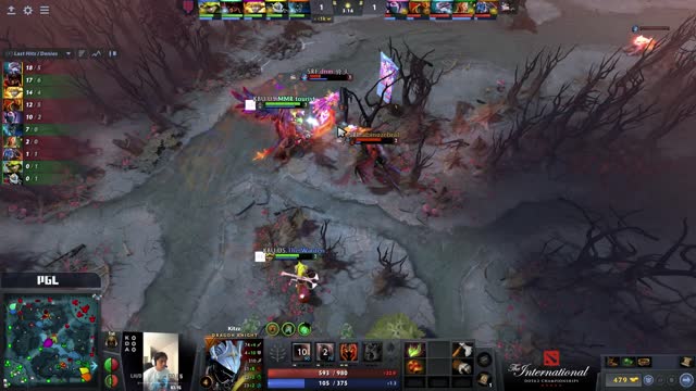 MMR tourist kills dnm!