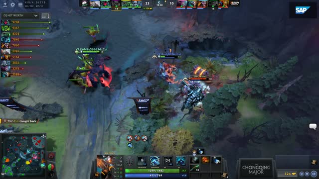 VP.Ramzes666 kills TnC.TIMS!