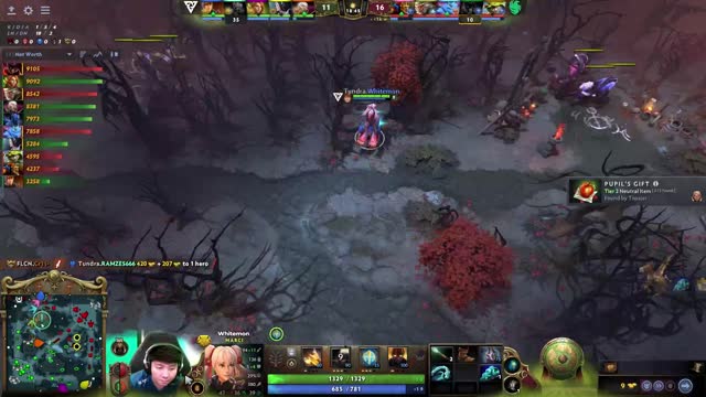 FLCN.Cr1t- kills 9Pandas.RAMZES666!