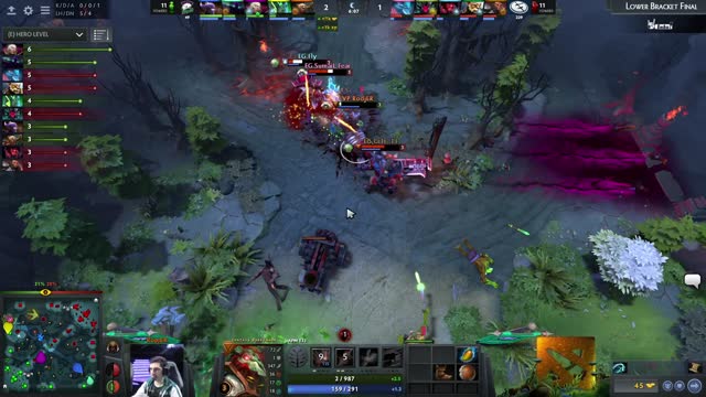 EG.Cr1t- kills VP.RodjER!