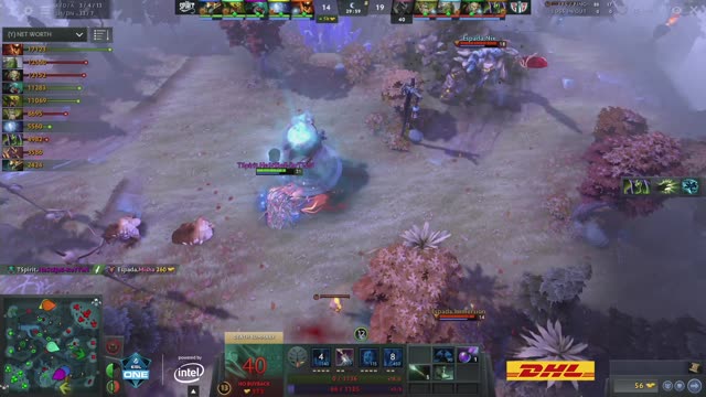 TSpirit gets 2 kills!