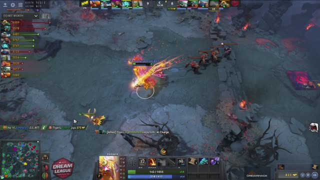 Na`Vi gets 2 kills!