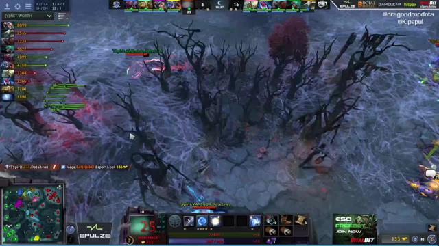 TSpirit.bzz kills Na`Vi.SoNNeikO!