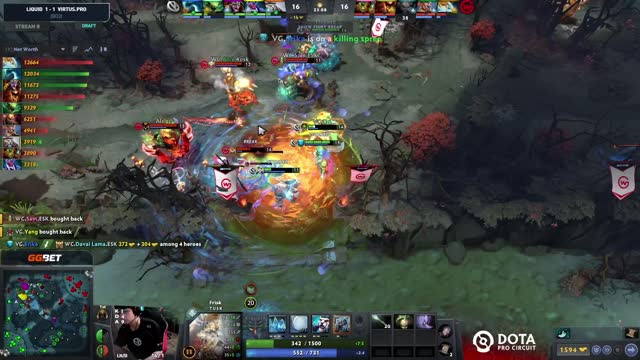 VG.poyoyo gets a double kill!