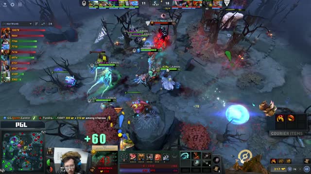 QCY.Quinn kills Tundra.33!