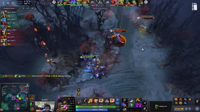 ThunderP.Pakazs kills TSM FTX.Timado!