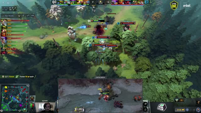 Husky kills QCY.Quinn!