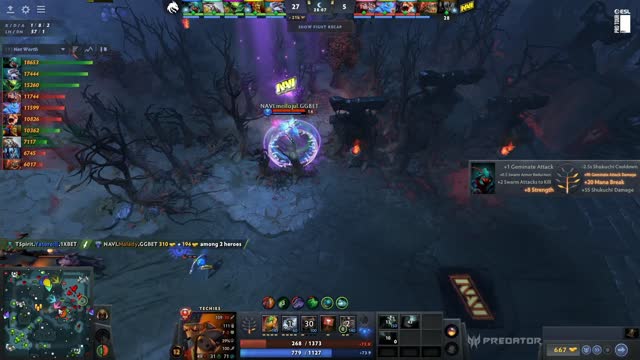 TSpirit gets 2 kills!