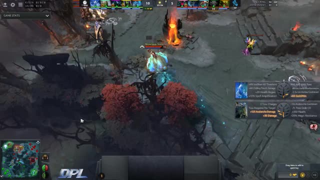 Srf kills Newbee.kaka!