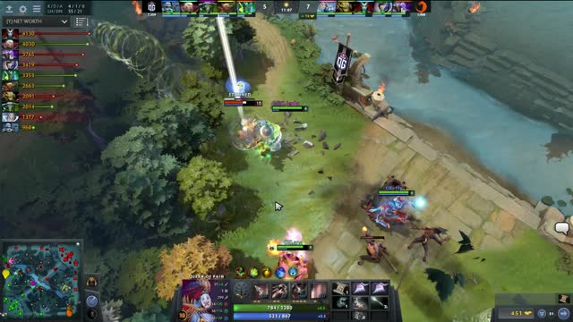 Fly kills TNC.Kuku!