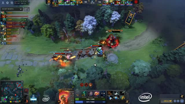 Afoninje kills Fnatic.Dj!