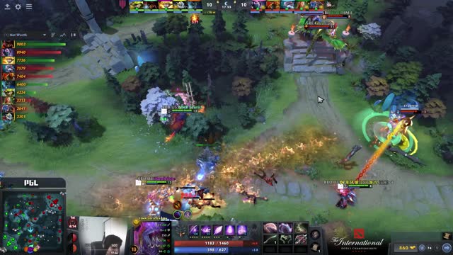 MMR tourist kills dnm!