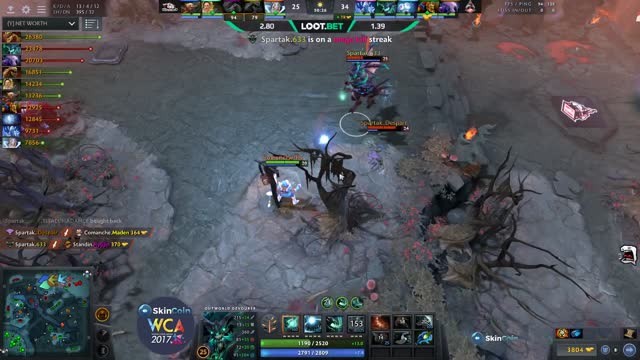 TSpirit.bzz gets a double kill!