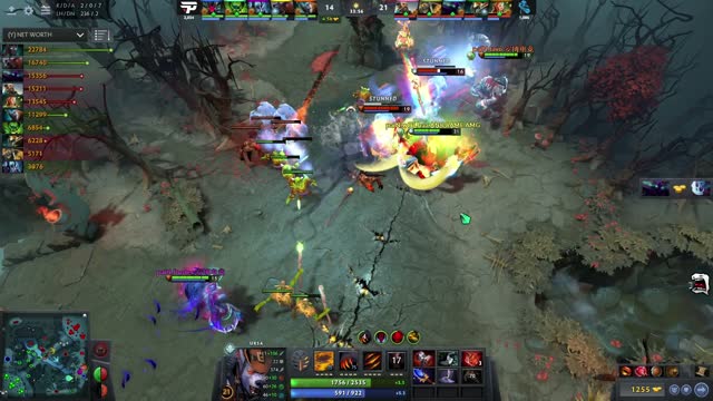 w33 kills Sccc!