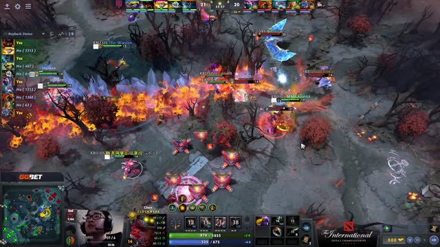 MMR tourist kills dnm!